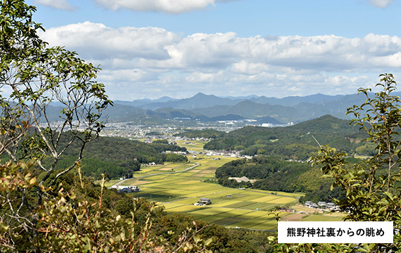 熊野神社裏からの眺め