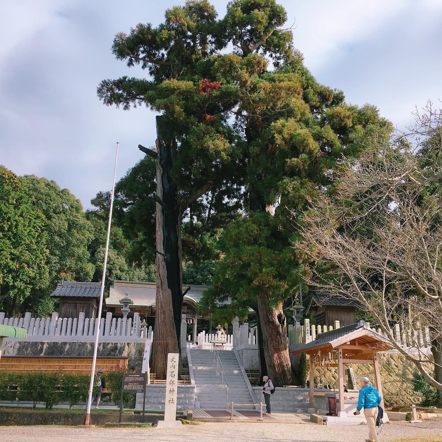 『ふるさと再発見ハイキング』 上鴨の里 殿原廃寺国府寺と秋祭り石部神社