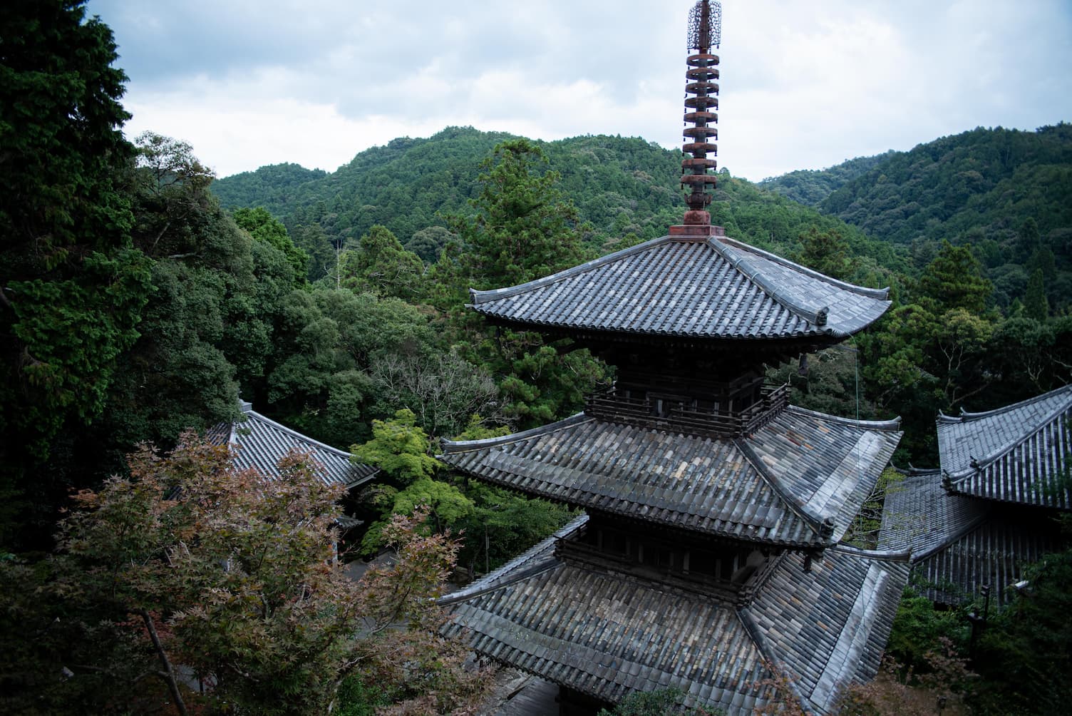 法華山一乗寺特別拝観 ガイドと巡る本堂内陣参拝ツアー